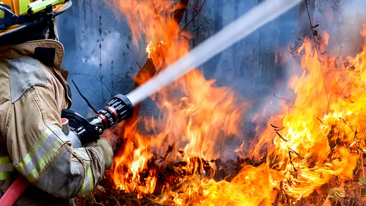 wildfires