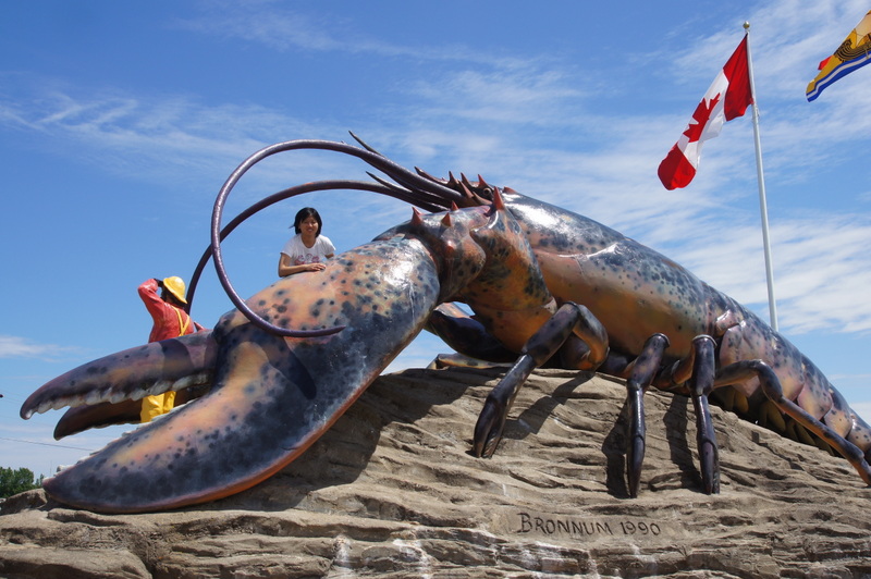 picture Biggest Lobster Ever Caught opallaontrails wordpress com