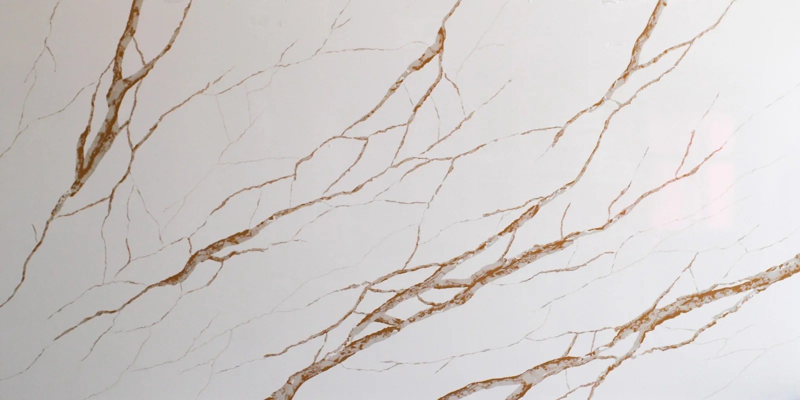 Calacatta Mechhia Vechhia OP0024