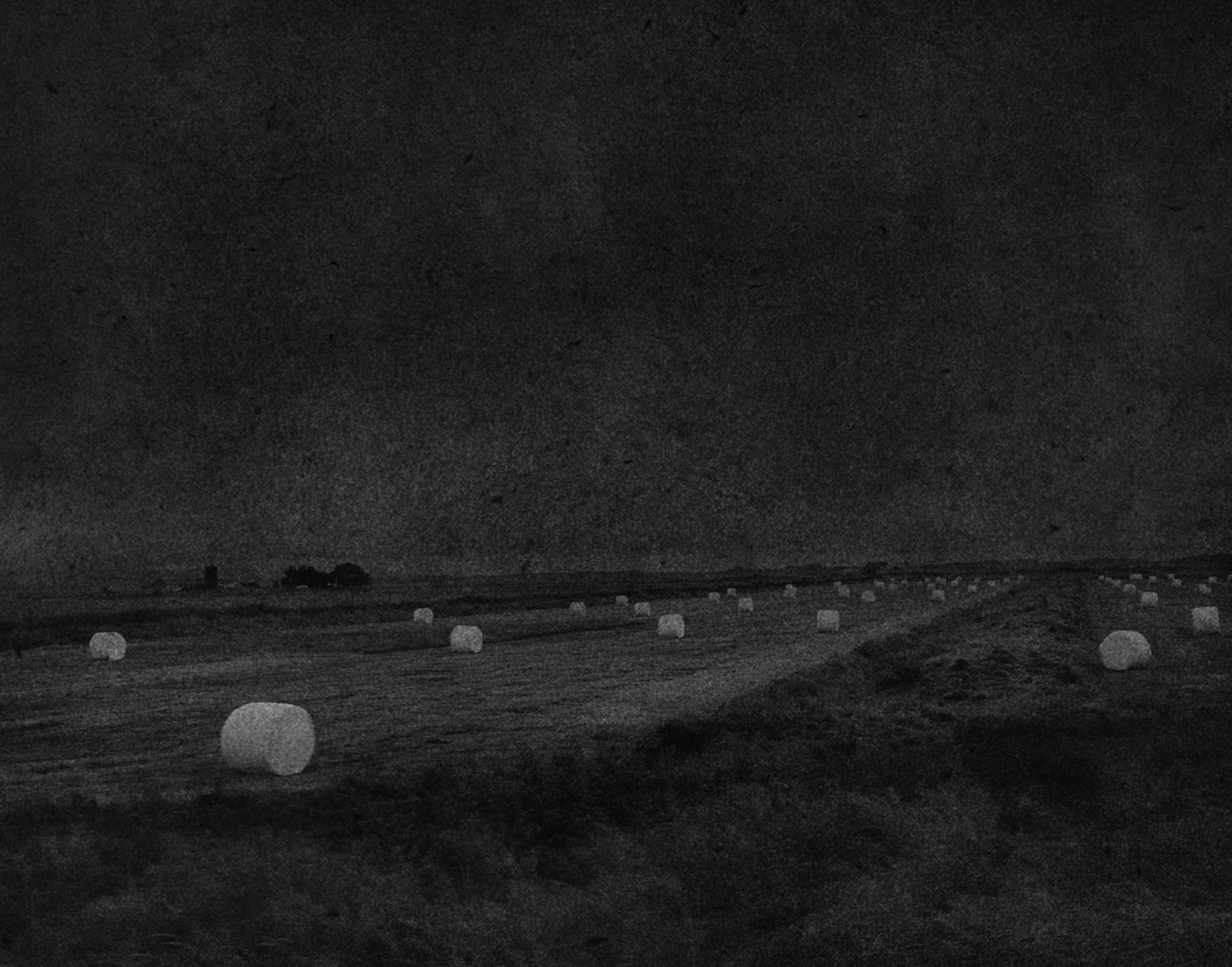 Hugo Hernandez Carrasco