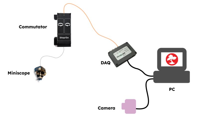 Github Leomol Msa Script To Process Miniscope Data And Quantify - Creative Full HD Geometric Illustrations | Free Download