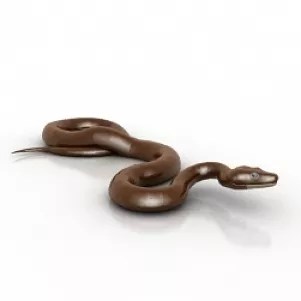 Cobra Cobra