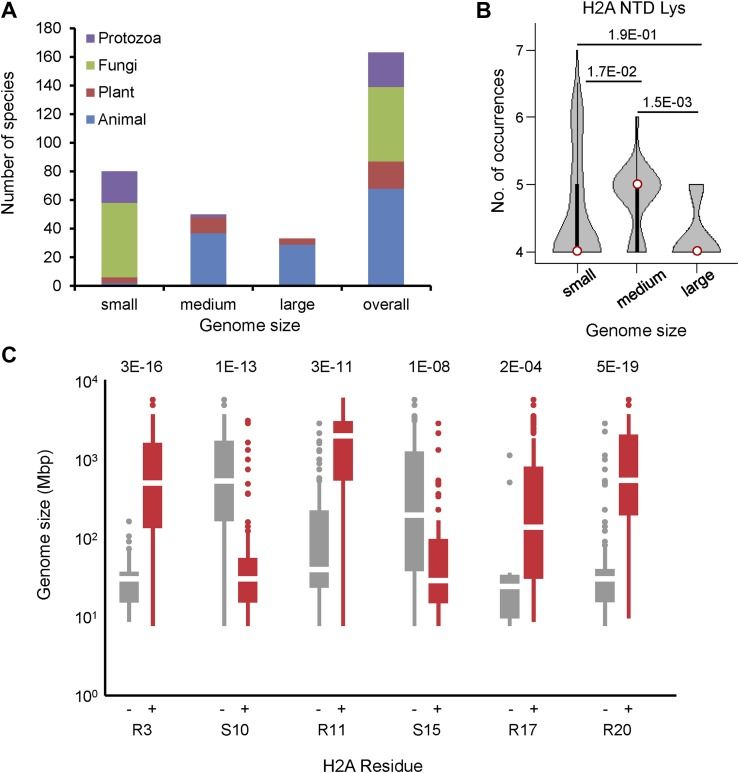 Boxplot A Biomedical Visualization Atlas - Elegant Full HD Minimal Arts | Free Download