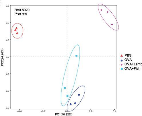 Github Tercen Biplot Shiny Pg - Premium Abstract Picture Gallery - 4K