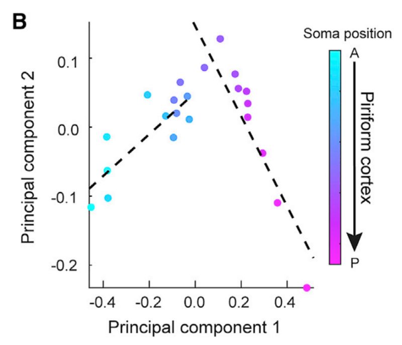 Plot A Few Principal Components Pcaplot Sidekicks - Geometric Texture Collection - 8K Quality