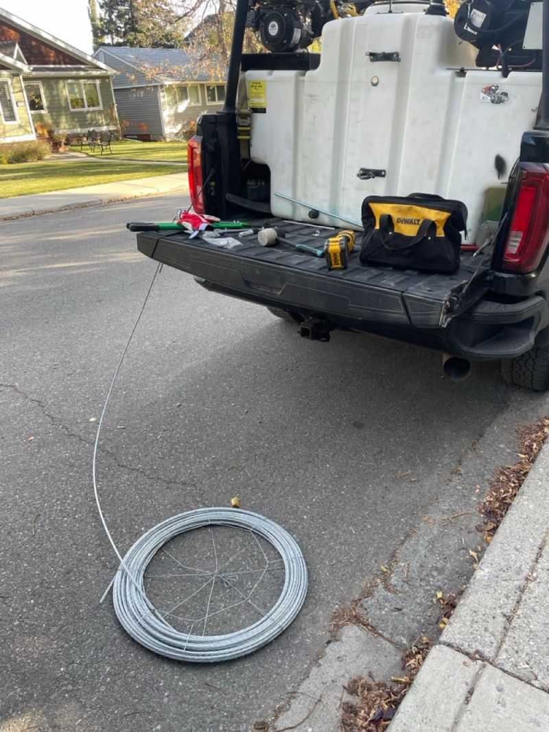 Cabling Bracing Open Canopy Tree Co - High Quality Ocean Texture - Mobile