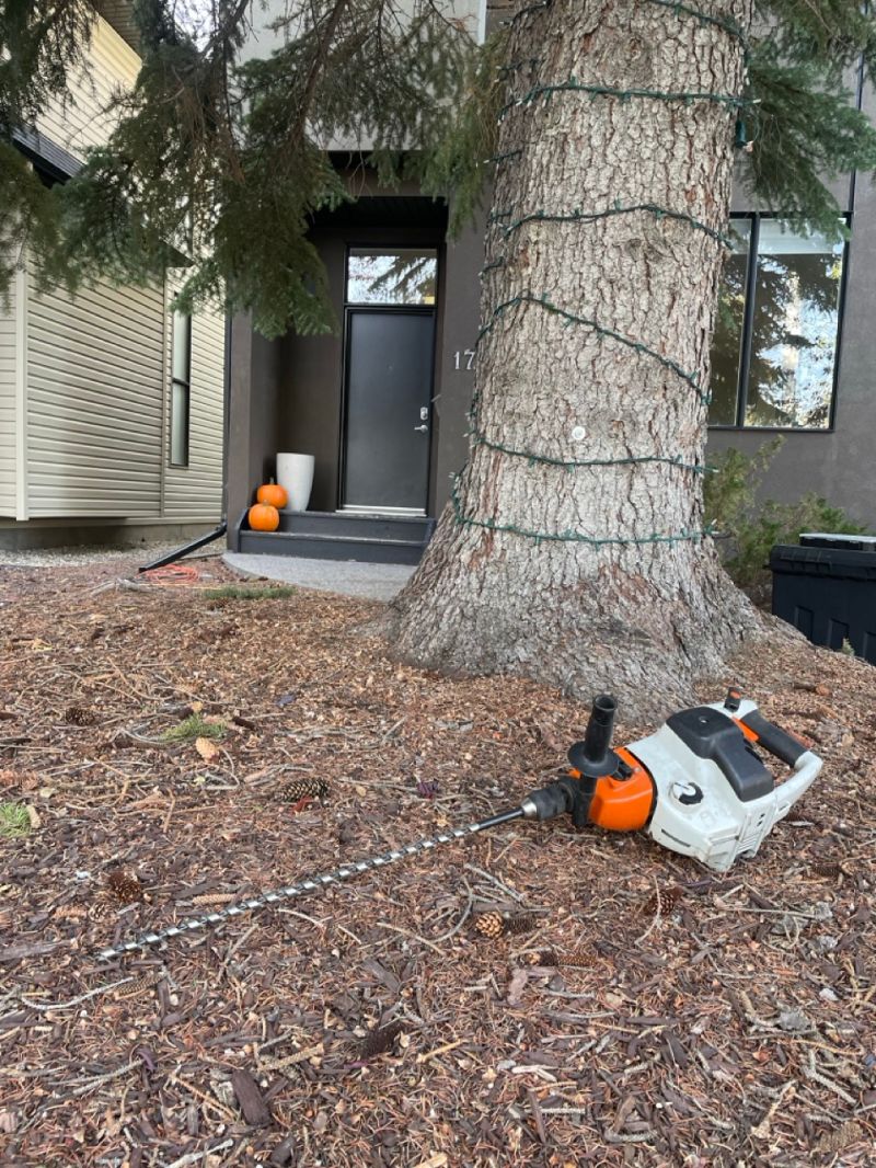 Cabling Bracing Open Canopy Tree Co - 4K Space Photos for Desktop