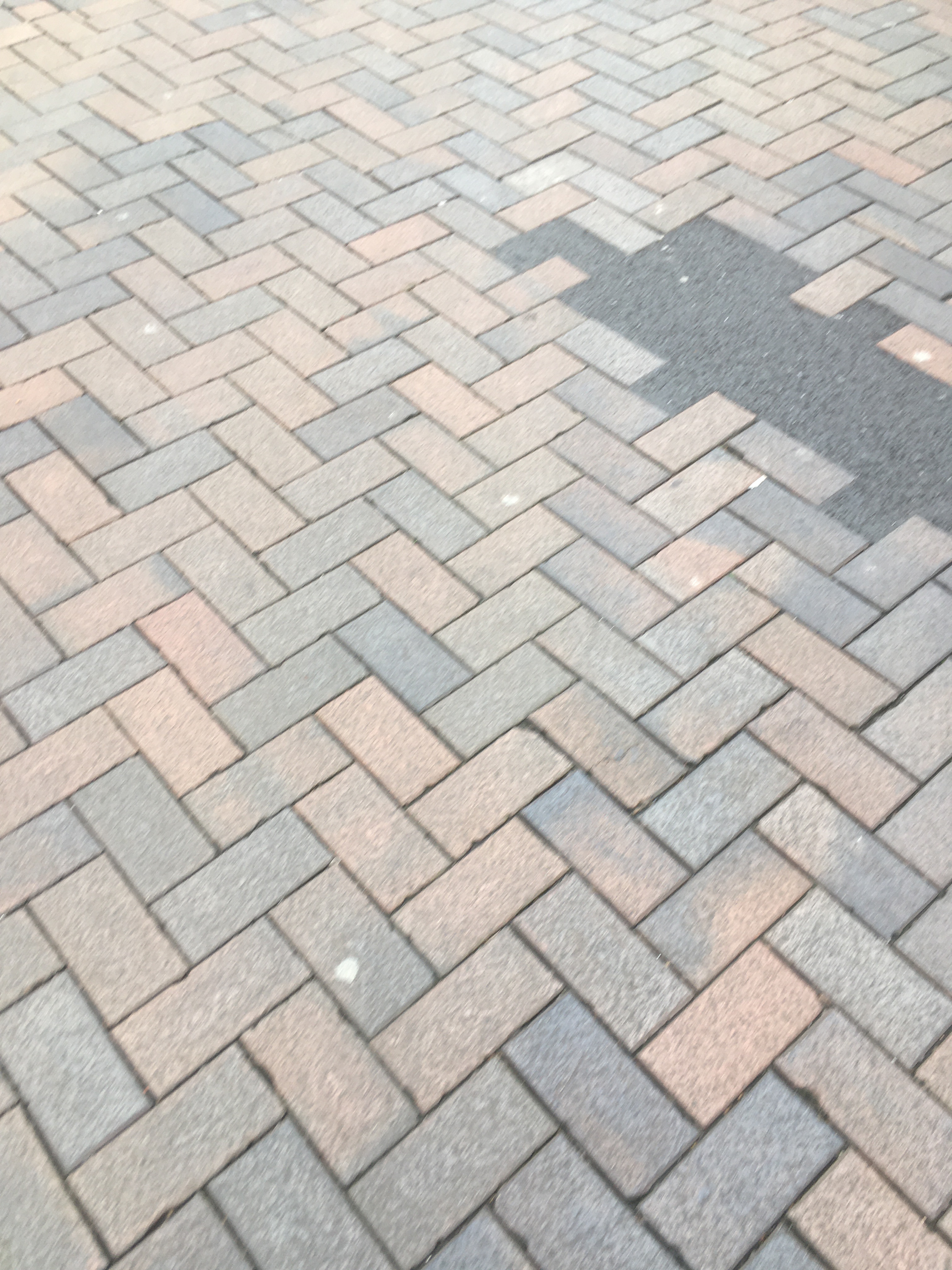 Shadow on The Pavement