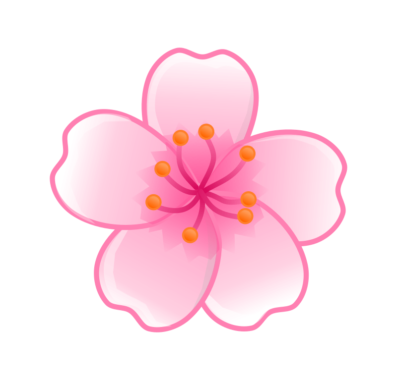 Branch of sakura flowers hand . Sakura Flower Openclipart