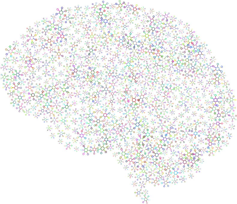 Brain draw vectors (17,130) · human brain lateral view hand drawing vintage vector · human brain vector · abstract brain one line drawing vector · human brain vs . Abstract Molecular Brain Prismatic Openclipart