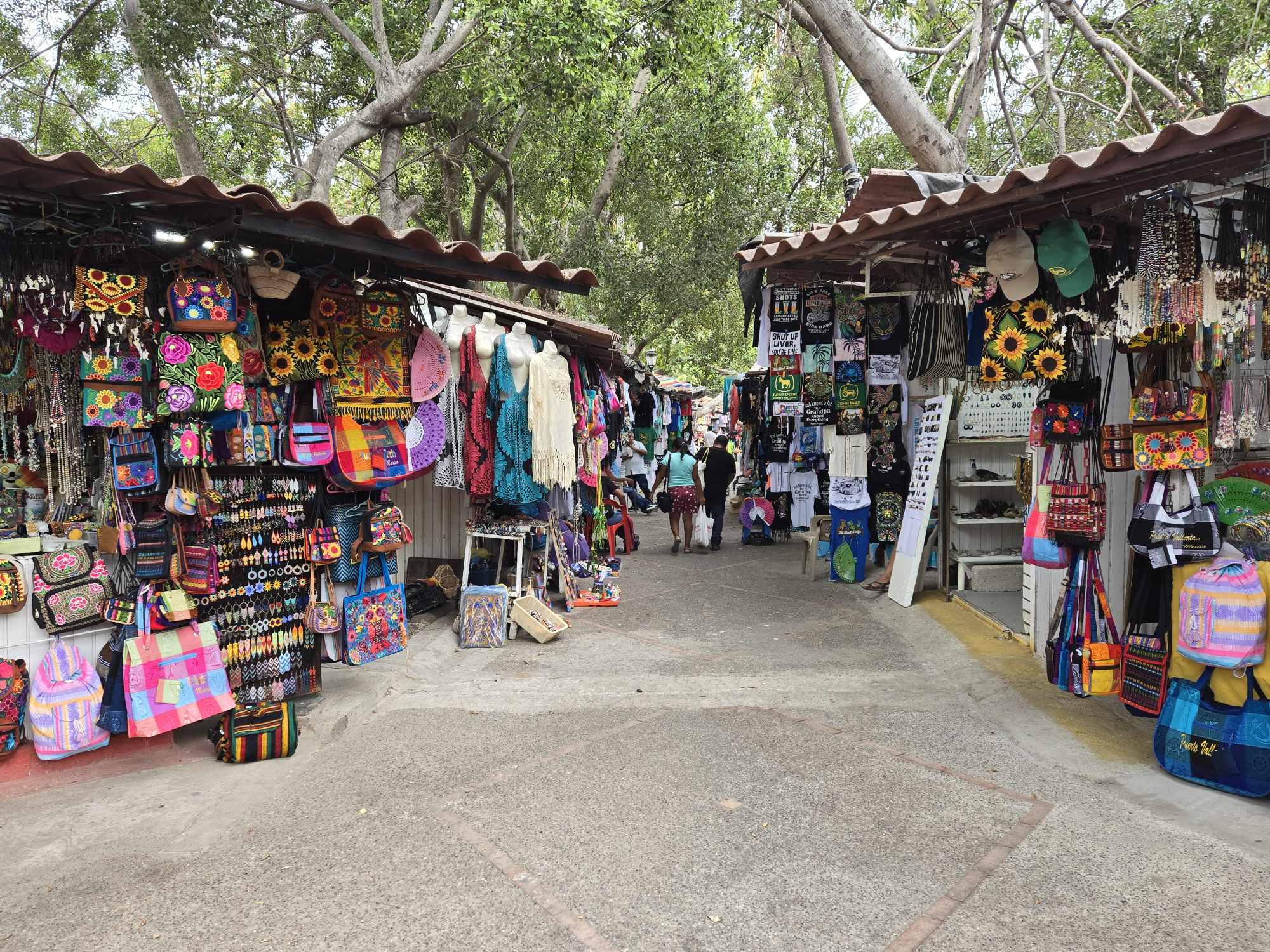 the Rio Cuale market in Puerto Vallarta