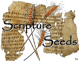 ScriptureSeeds