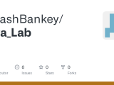 Github Kalashbankey Java Lab