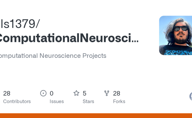 GitHub - Als1379/ComputationalNeuroscienceProjects: Computational ...