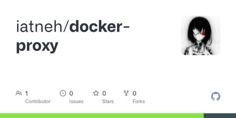 GitHub - iatneh/docker-proxy