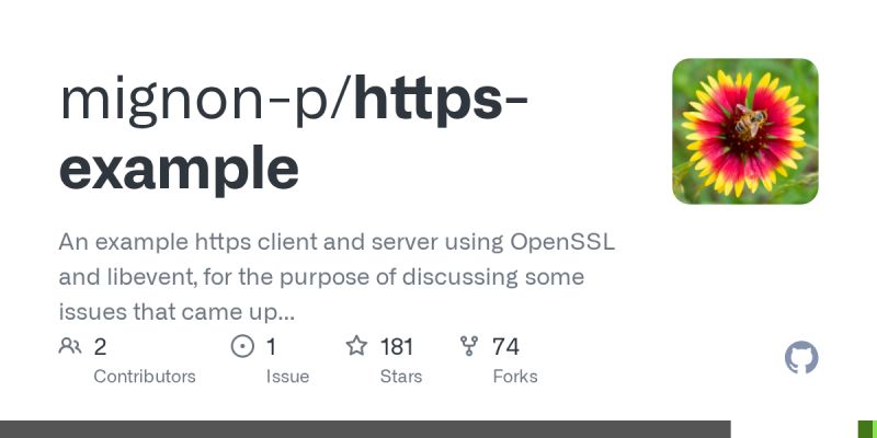 Https Client Examples Anchor - Premium Colorful Design Gallery - Retina