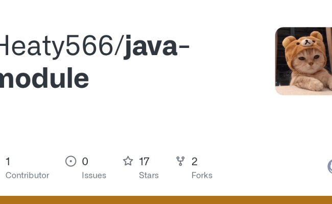 GitHub - Heaty566/java-module