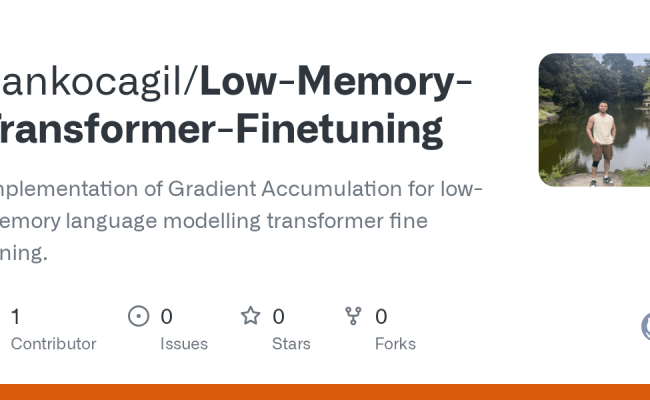 GitHub - Cankocagil/Low-Memory-Transformer-Finetuning: Implementation ...