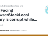 Facing Browserstacklocal Binary Is Corrupt While Running In Java Docker
