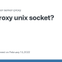 Proxy Unix Socket? · Issue #321 · Jupyterhub/jupyter-server-proxy · GitHub