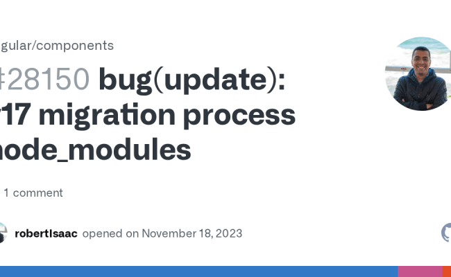 Bug(update): V17 Migration Process Node_modules · Issue #28150 ...