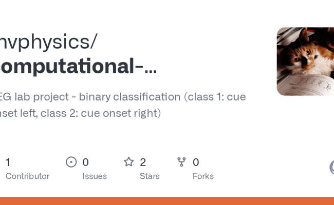GitHub - Mvphysics/computational-neuroscience-binary-classification: EEG Lab Project - Binary ...