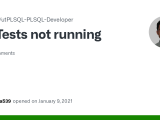 Tests Not Running Issue 8 Utplsql Utplsql Plsql Developer Github