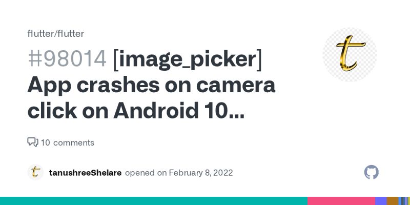 App Crashed When Click Photo With Camera Issue 96 Flutter Package Images Picker Github - Gorgeous Abstract Illustration - Full HD