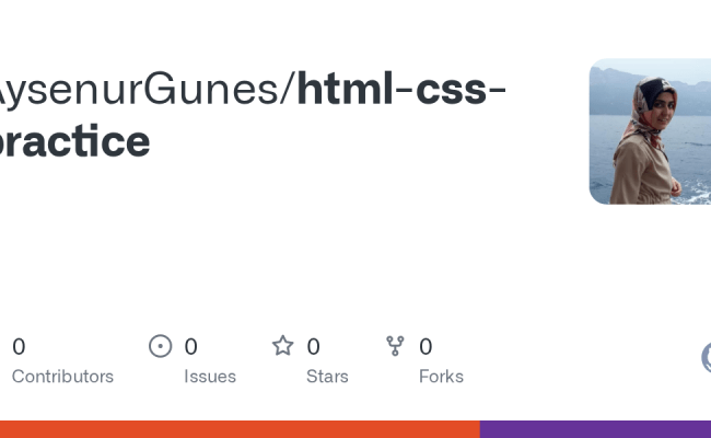 GitHub - AysenurGunes/html-css-practice