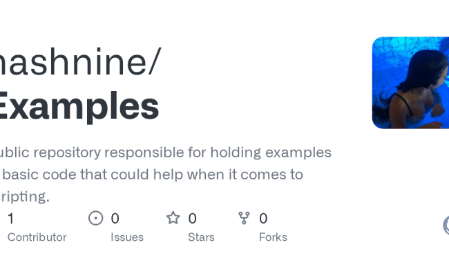 GitHub - Hashnine/Examples: Public Repository Responsible For Holding Examples Of Basic Code ...