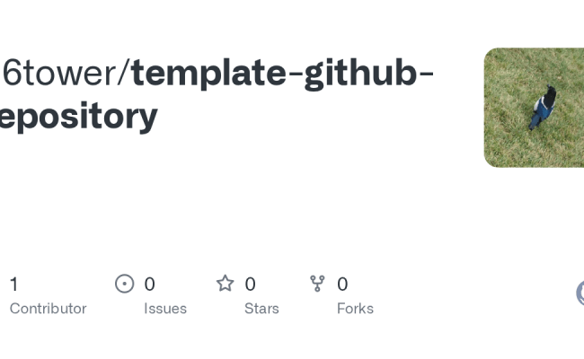 GitHub - C6tower/template-github-repository