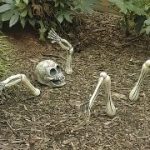現在の画像に代替テキストがありません。ファイル名: image-1