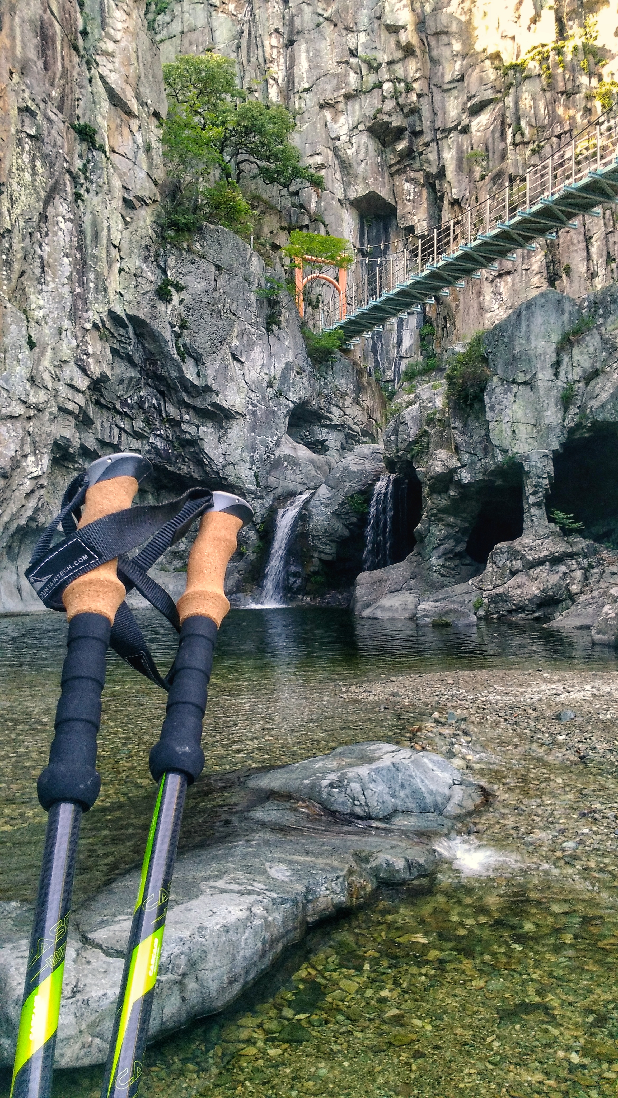 Bastoncini Da Trekking In Fibra Di Carbonio 100% Con Blocco Rapido - Leggeri E Regolabili, Completi Di Punte In Carburo E Accessori