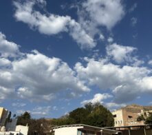 IMG_8828 IMG_8828