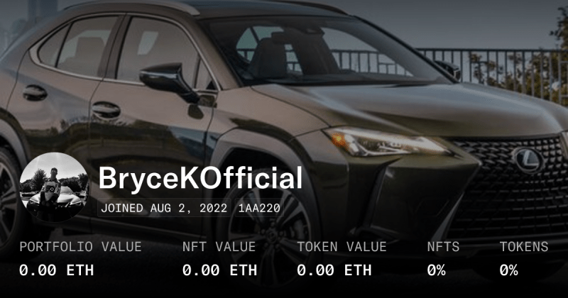 Bryce Rice Profile Opensea - Perfect Minimal Image - High Resolution