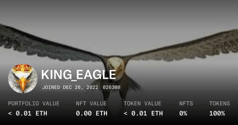 The King Eagle Collection Opensea - Modern Geometric Illustration - Ultra HD