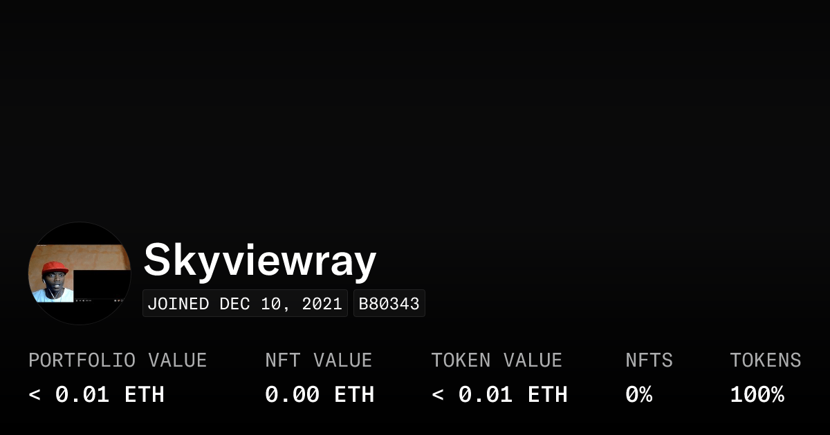 Skyviewray Profile Opensea