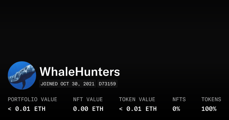 Whale Watcher Profile Opensea - Premium Space Design Gallery - High Resolution