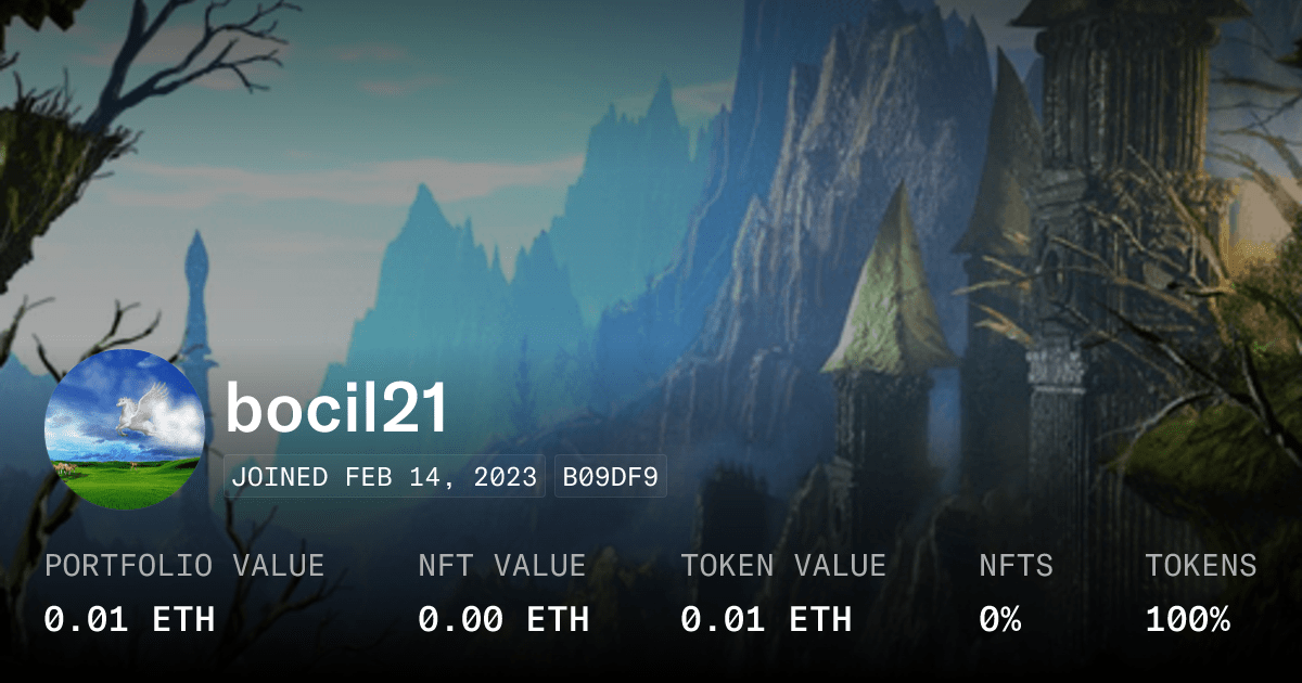 Bocil21 - Profile | OpenSea