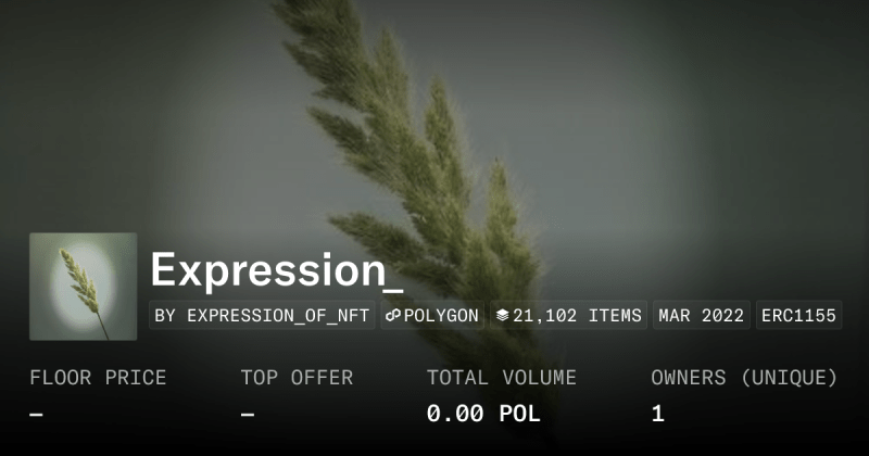 Expression Collection Opensea - Classic Colorful Photo - 8K