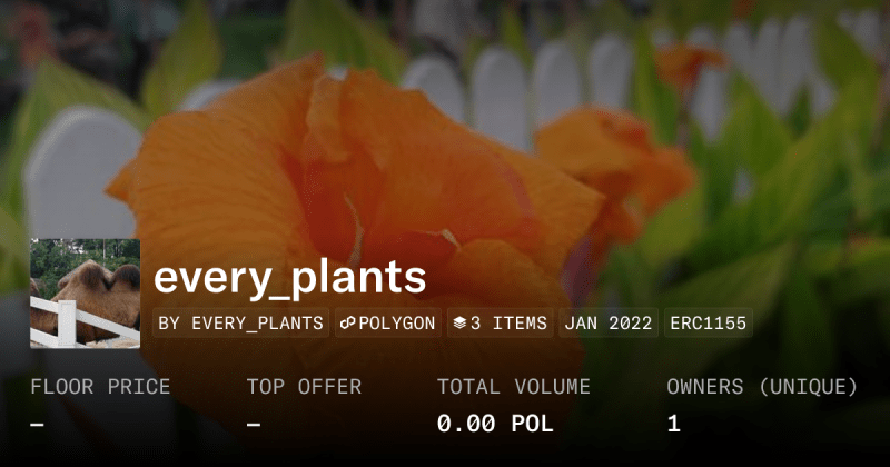 Green Plants Collection Opensea - Vintage Wallpapers - Perfect HD Collection