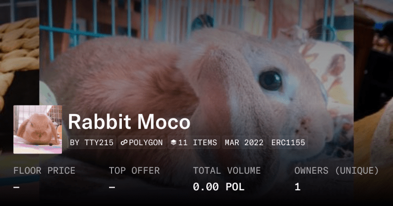 Moco Chibi Collection Collection Opensea - Download Professional Minimal Art | 8K