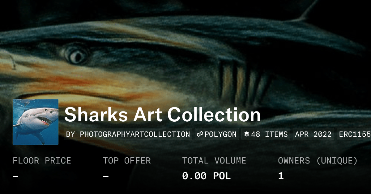 Sharks Art Collection Collection Opensea