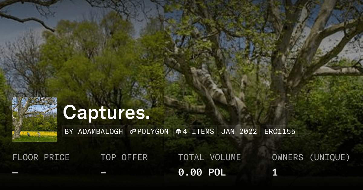 Captures Collection Opensea