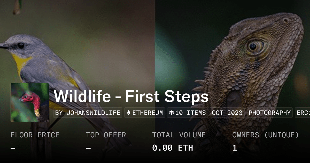 Opengraph Image Ts 29169711