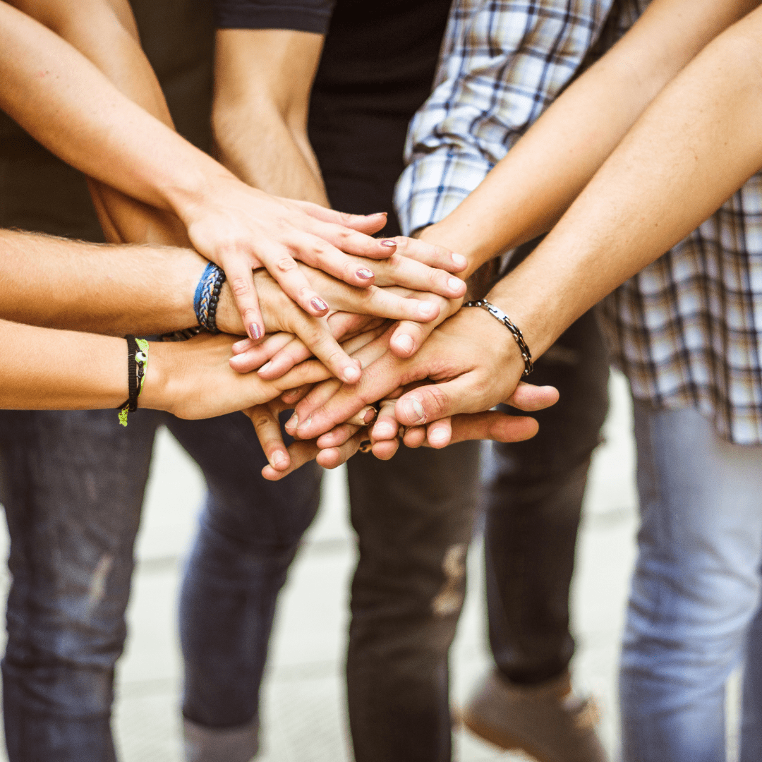 Get Involved - Operation Delta Dog | See How You Can Help