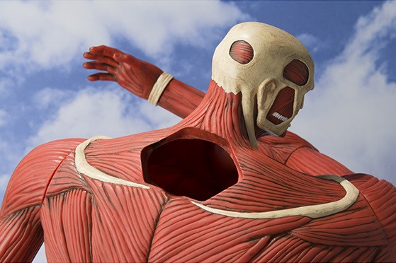 Colossal Titan | oprainfall