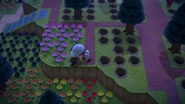 Digging up flowers on my island.