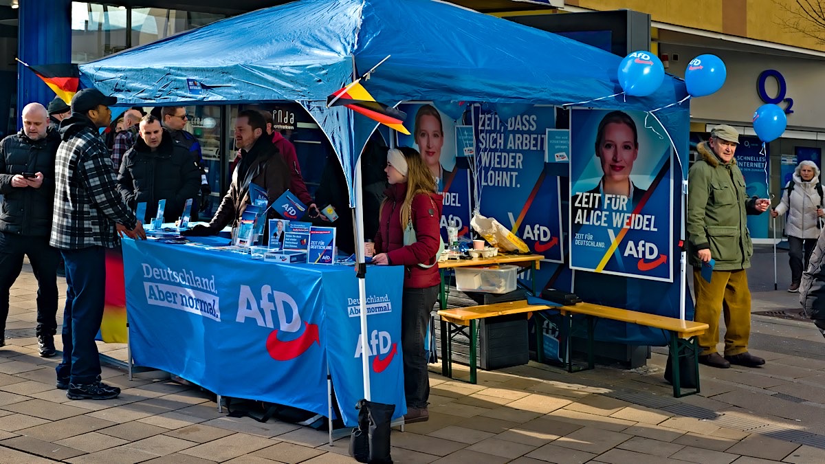 Titelfoto artikel Verkiezingsoverwinning AfD is een duidelijke les Opiniez nieuwsbericht