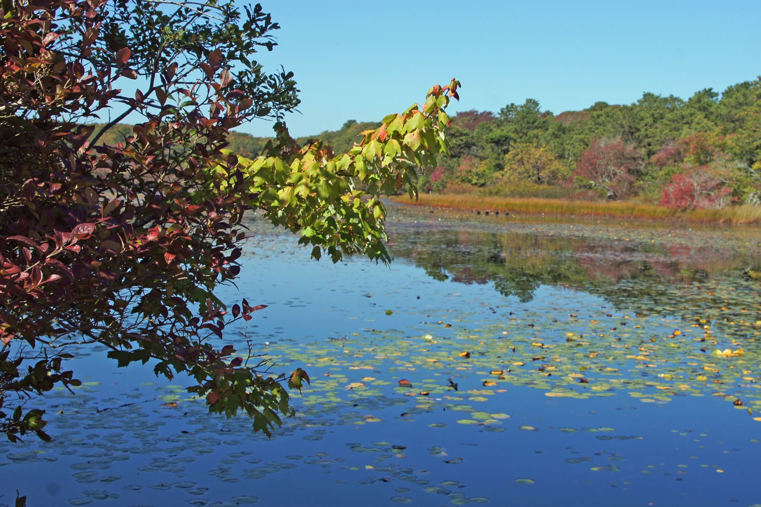 USA: Roadtrip von Rhode Island bis Cape Cod - Op Jück